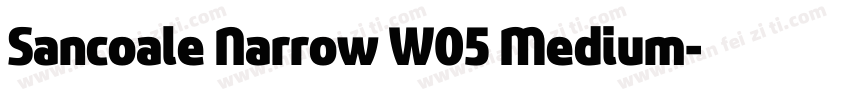 Sancoale Narrow W05 Medium字体转换